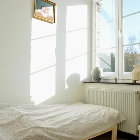 Railway In Ardennes Pondrome