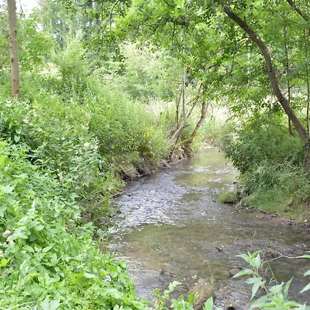 Ferienhaus Railway In Ardennes Pondrome