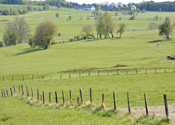 Railway In Ardennes *
