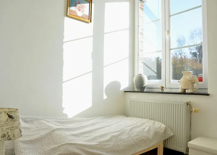 Railway In Ardennes Pondrome