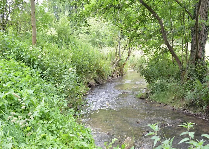 度假居 Railway In Ardennes Pondrome